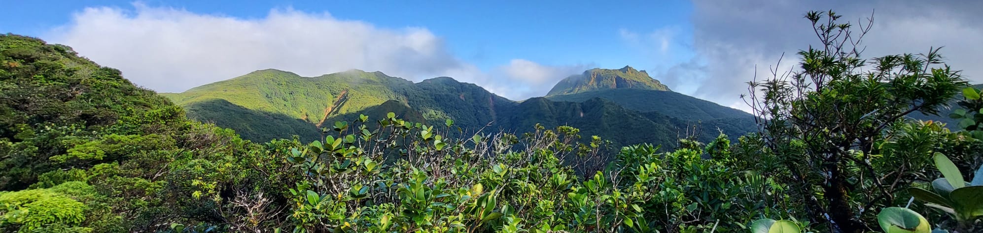 Panoramic view of La Soufrière from Grande Découverte.